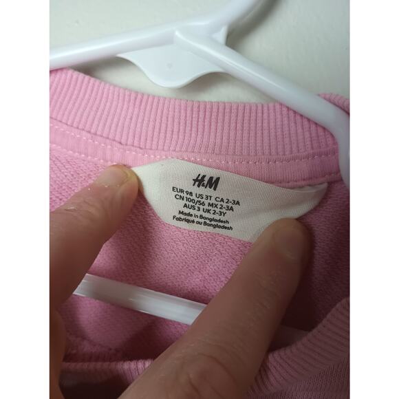 H&M Little Sister Pink Graphic Crew Neck Sweatshirt Toddler 3T Pull Over - Picture 2 of 3